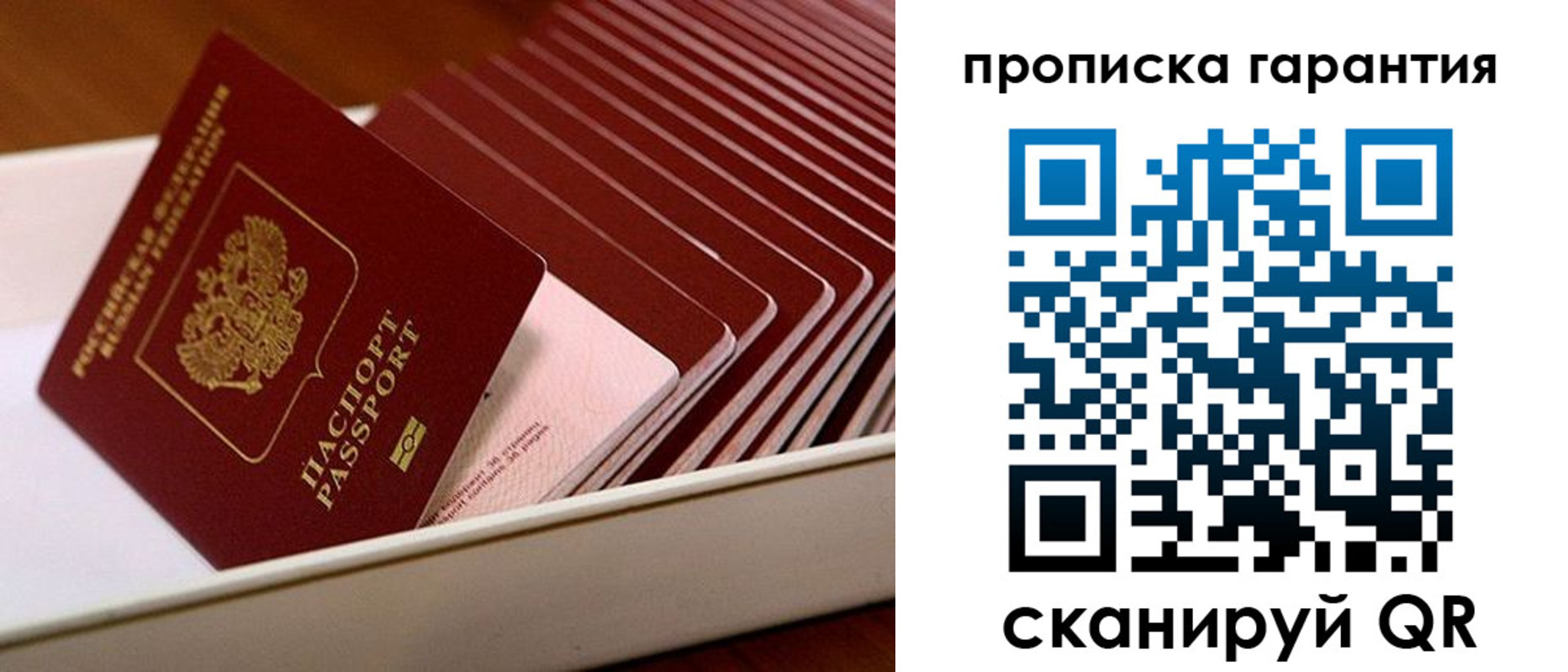 прописка поиск в Лузе
